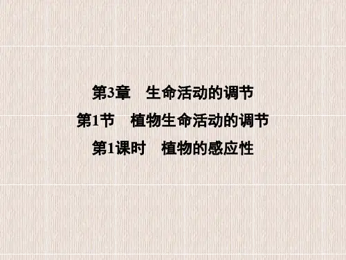 浙教版八年级科学上册第3章生命活动的调节PPT