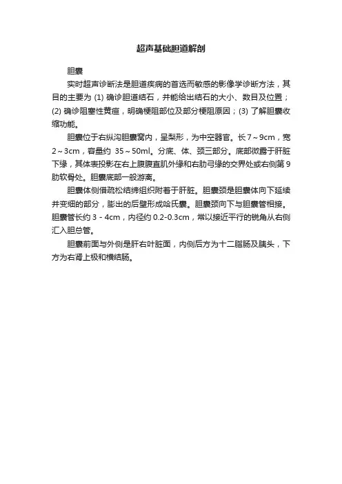 超声基础胆道解剖