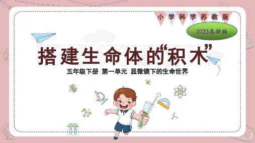 苏教版(2017秋)科学五年级下册1