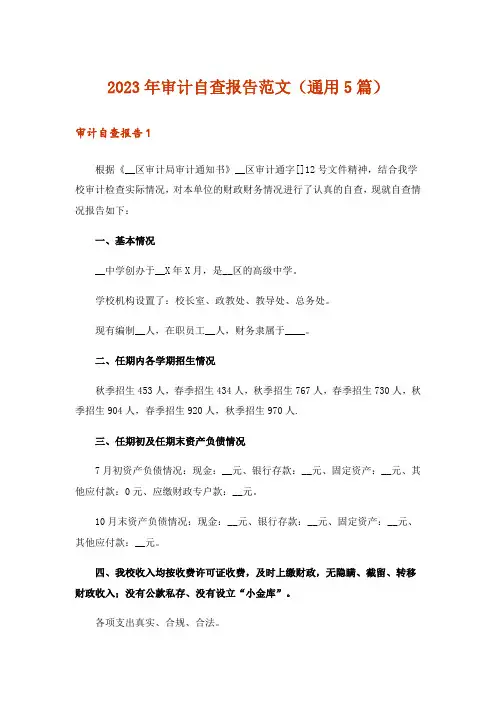 2023年审计自查报告范文(通用5篇)