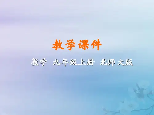 北师大版九年级数学上册第二章一元二次方程5一元二次方程的根与系数的关系教学课件