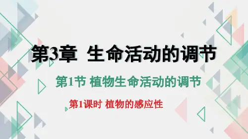 植物生命活动的调节第1课时(PPT课件(初中科学)16张)