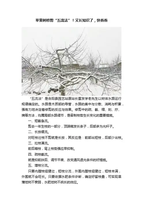 苹果树修剪“五流法”！又长知识了，快看看