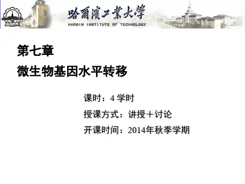 基因水平转移 ppt课件