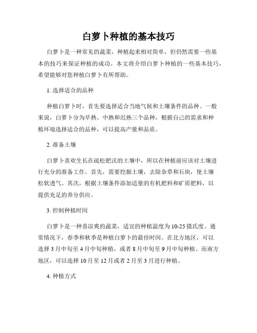 白萝卜种植的基本技巧