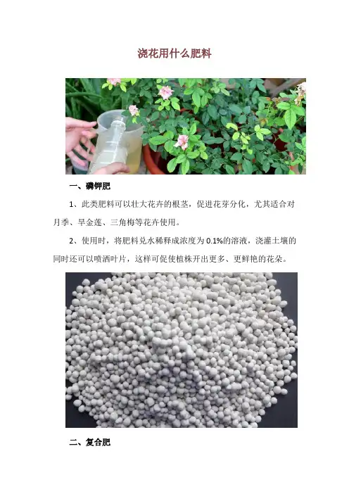 浇花用什么肥料