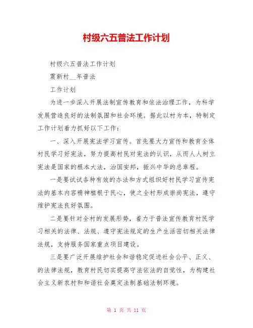 村级六五普法工作计划