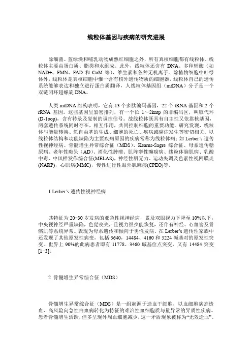 线粒体基因与疾病的研究进展