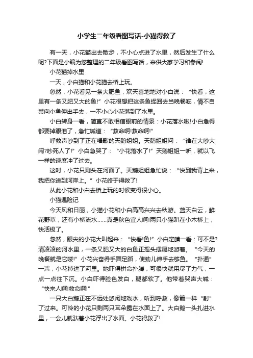 小学生二年级看图写话-小猫得救了