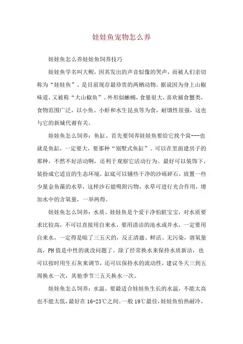娃娃鱼宠物怎么养