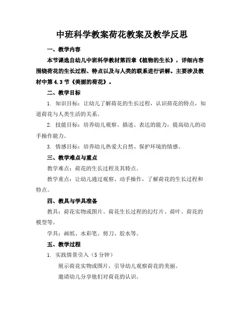 中班科学教案荷花教案及教学反思