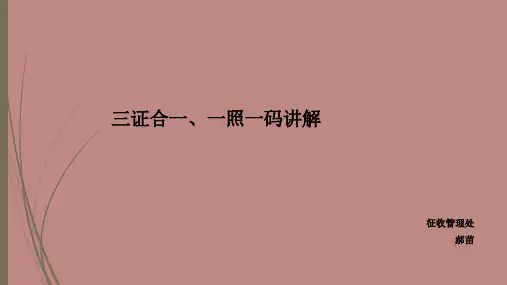 三证合一一照一码讲解