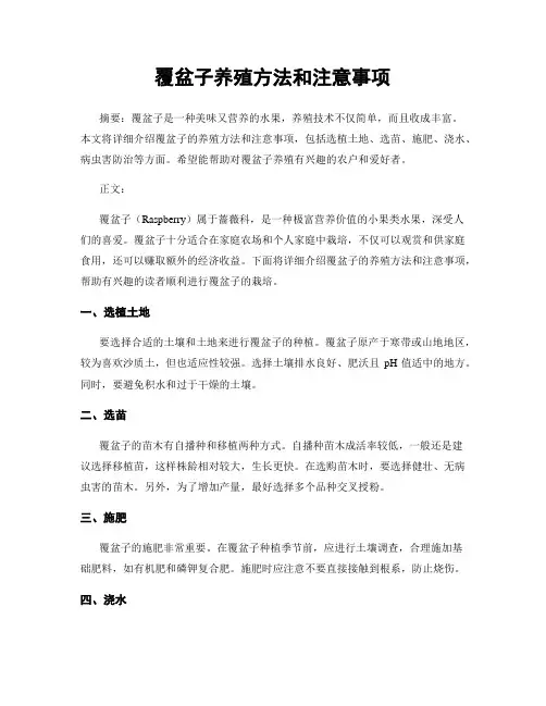 覆盆子养殖方法和注意事项