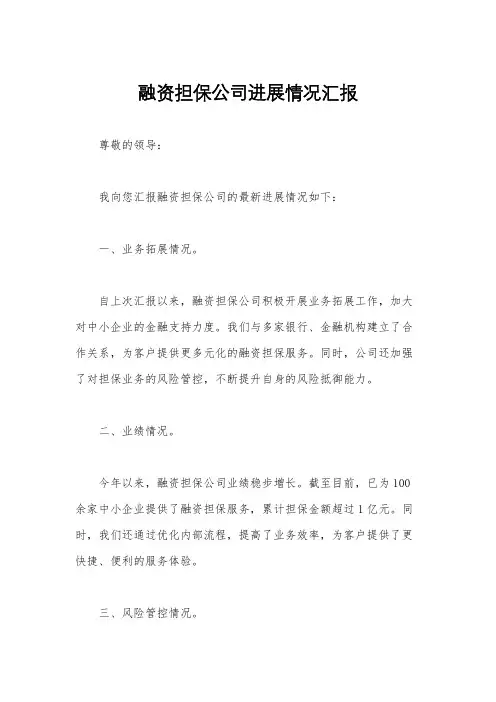 融资担保公司进展情况汇报