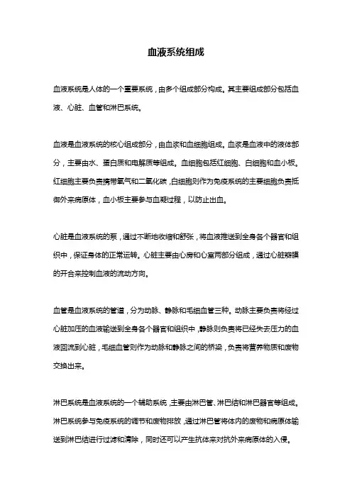 血液系统组成