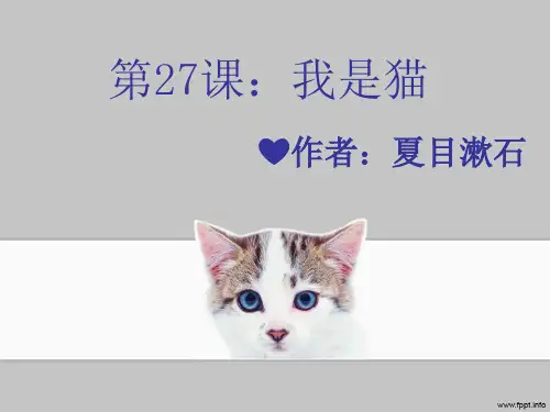 -我是猫-