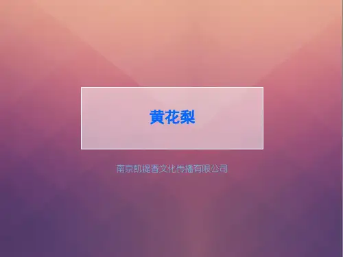 黄花梨的基础知识ppt