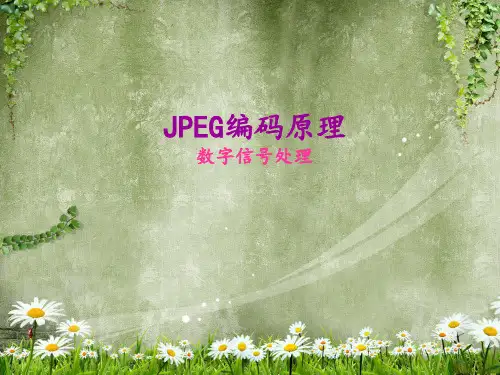 JPEG编码原理