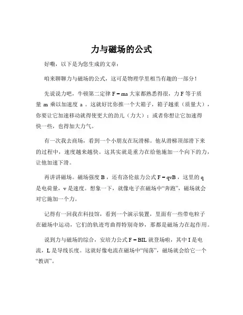力与磁场的公式