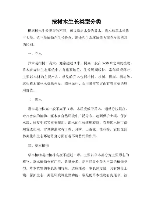 按树木生长类型分类