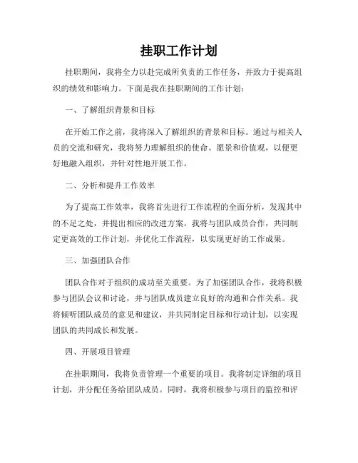 挂职工作计划