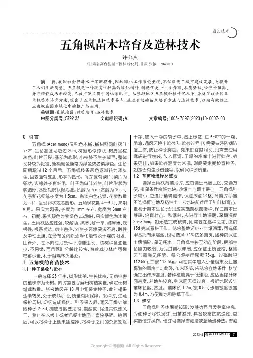 五角枫苗木培育及造林技术