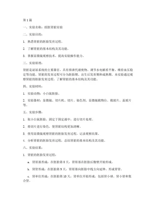 组胚肾脏实验实验报告册(3篇)