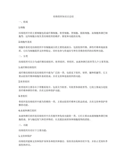 结缔组织知识点总结