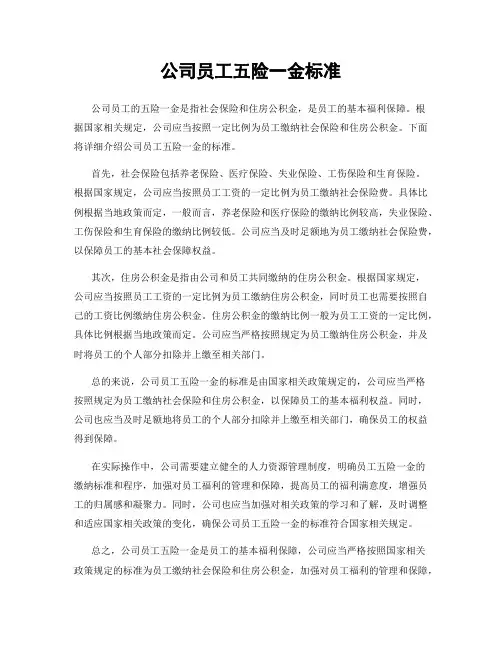 公司员工五险一金标准