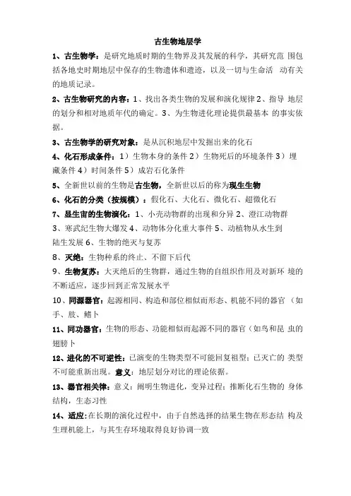 古生物地层学