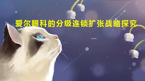 爱尔眼科的分级连锁扩张战略探究