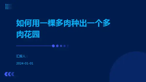 如何用一棵多肉种出一个多肉花园