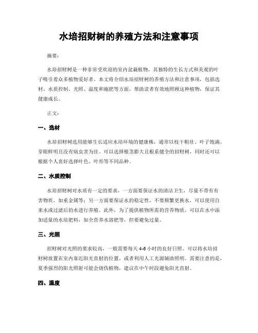 水培招财树的养殖方法和注意事项