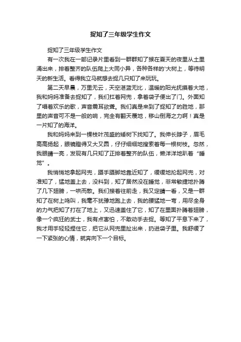 捉知了三年级学生作文