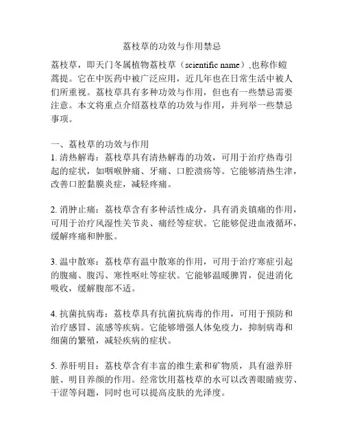 荔枝草的功效与作用禁忌