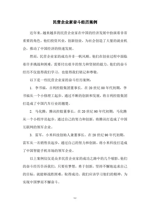 民营企业家奋斗经历案例