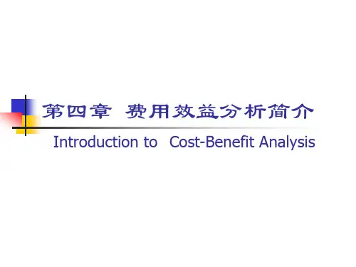 第4章 费用效益分析简介