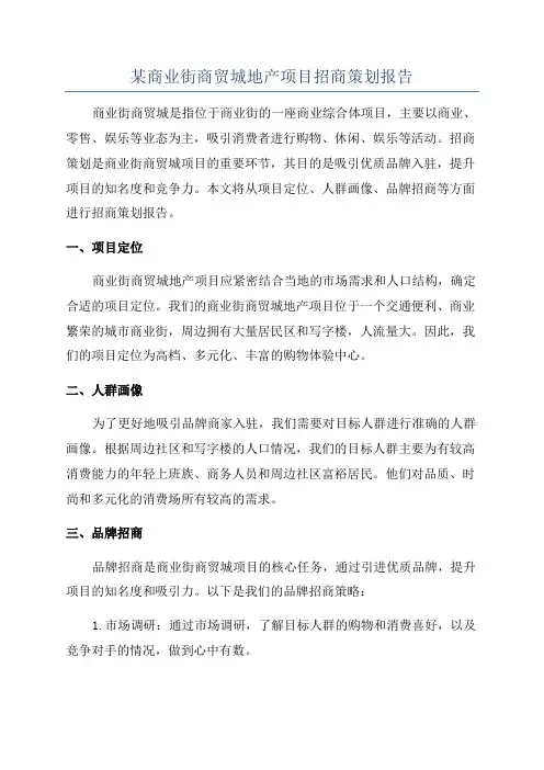 某商业街商贸城地产项目招商策划报告