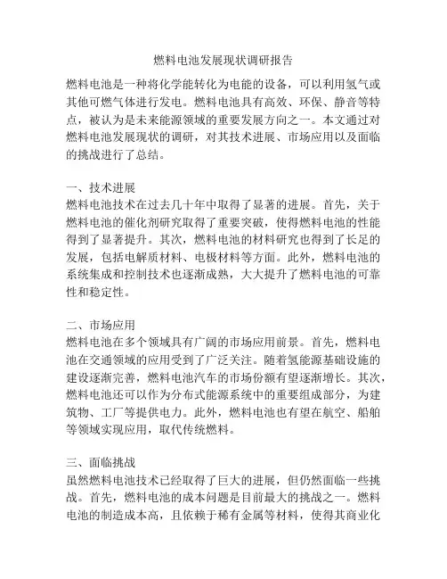 燃料电池发展现状调研报告