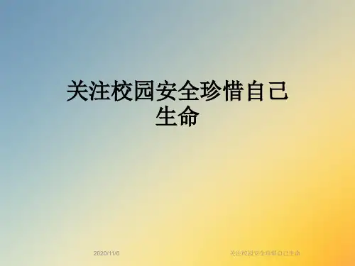 关注校园安全珍惜自己生命