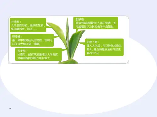 中国十大名茶课件