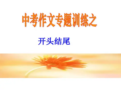 中考作文开头专项训练