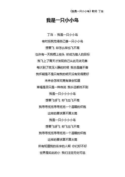 《我是一只小小鸟》歌词 丁当