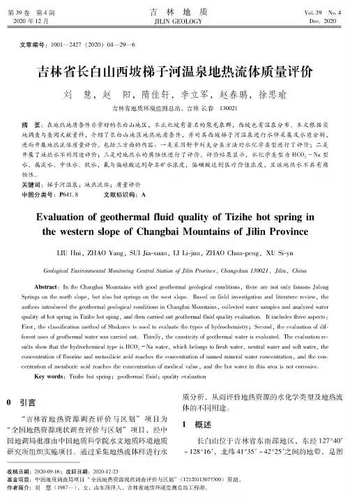 吉林省长白山西坡梯子河温泉地热流体质量评价