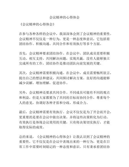 会议精神的心得体会