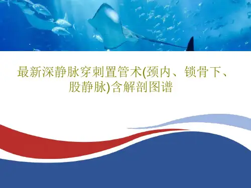 最新深静脉穿刺置管术(颈内、锁骨下、股静脉)含解剖图谱共97页文档