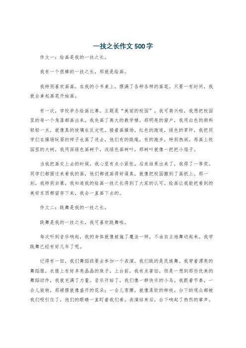 一技之长作文500字
