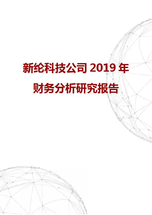 新纶科技公司2019年财务分析研究报告