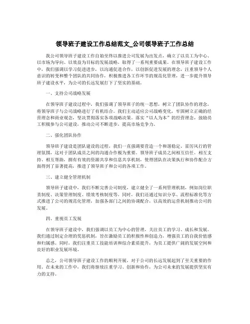 领导班子建设工作总结范文_公司领导班子工作总结