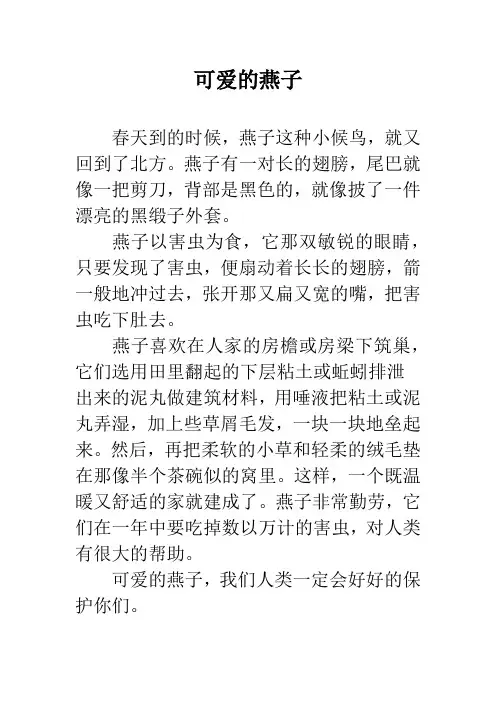 可爱的燕子_1